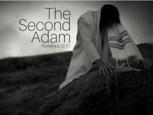 jesus le second Adam