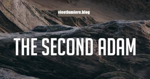 le second Adam