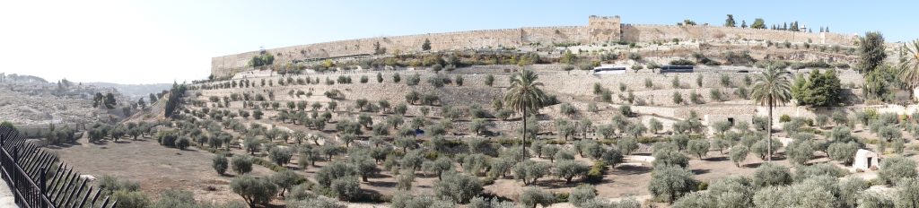 Israël 2019