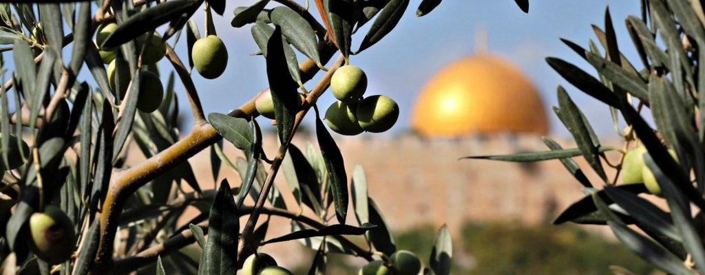 Israël 2019