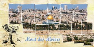 Israël Vie et Lumière 2019 Israël Vie et Lumière 2019