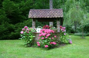 Du puits à la source