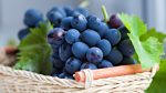 Le fruit de l'Esprit