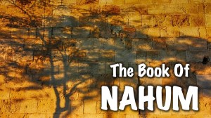 NAHUM (נַחוּם en hébreu, qui signifie "Consolateur")